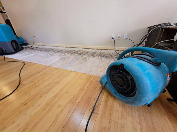 Professional Basement Flood Cleanup technician working in Derby, CT